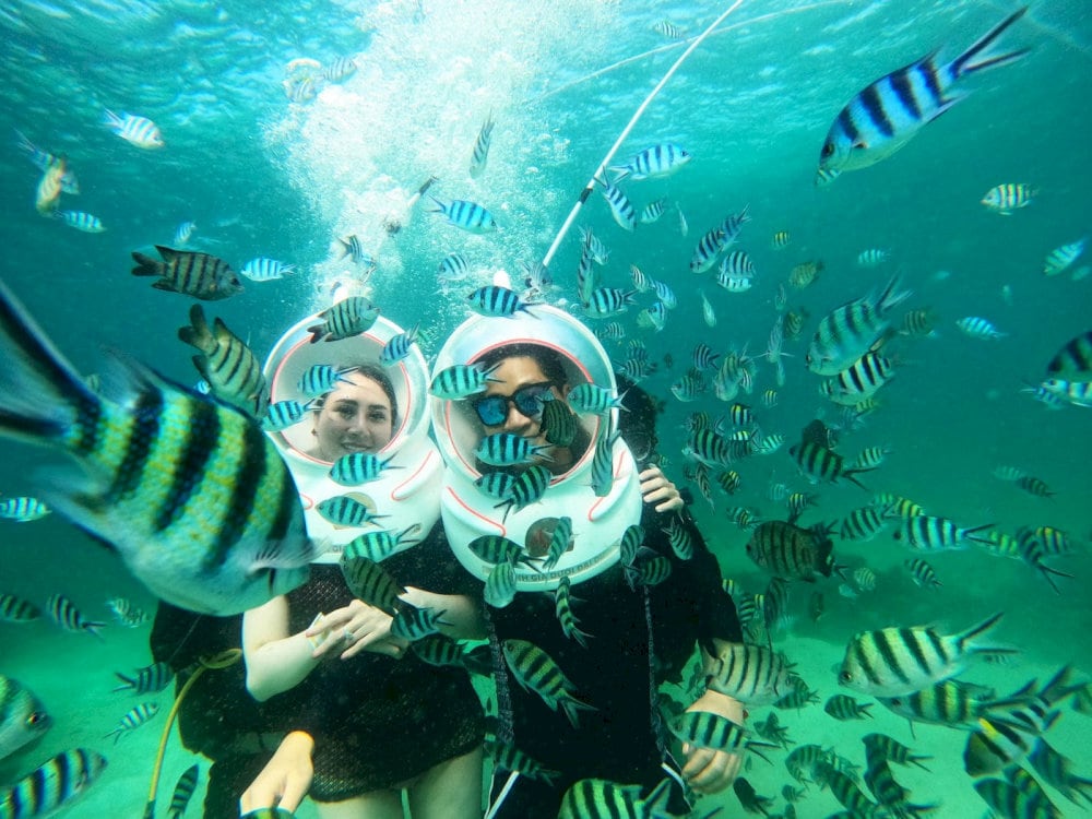 A small private group enjoys a private sea walking experience with dedicated guides and flexible schedules